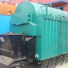 DZL Biomass Fired Chain Grate Boiler